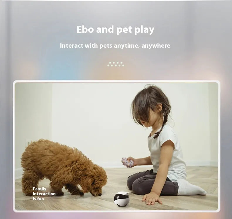 Smart Pet Monitoring Camera with Two-Way Audio