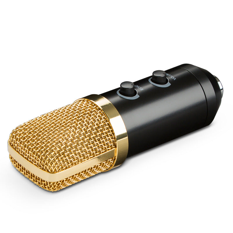Condenser Microphone with Reverb and Stand