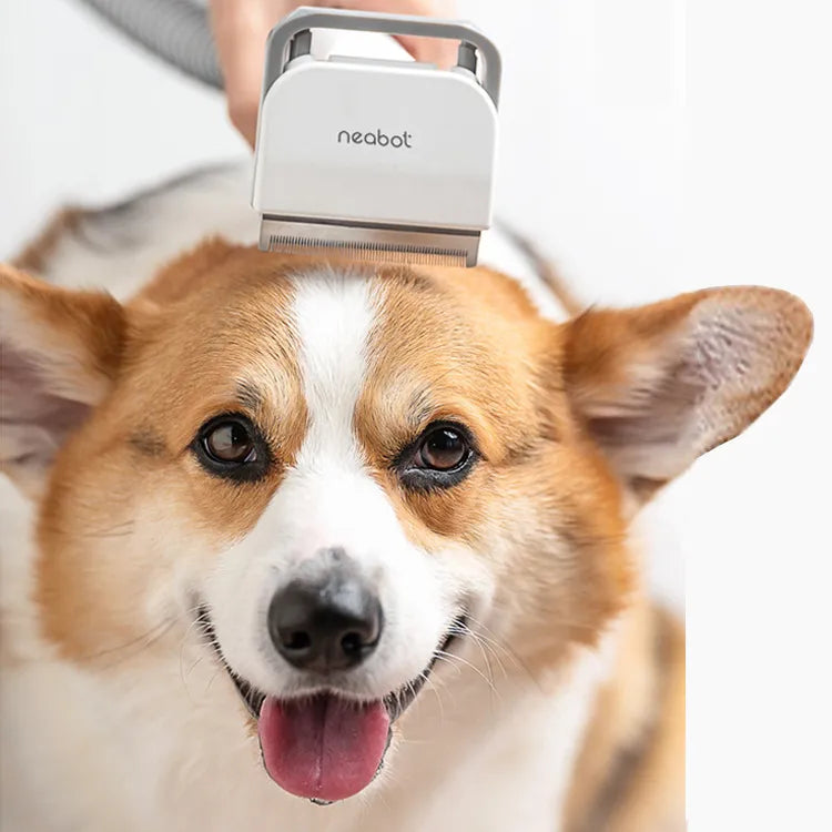 Quiet Rechargeable Pet Clipper