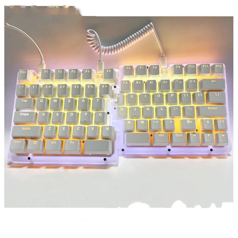 Split Ergonomic Mechanical Keyboard