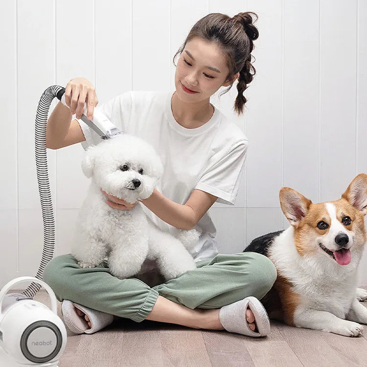 Quiet Rechargeable Pet Clipper