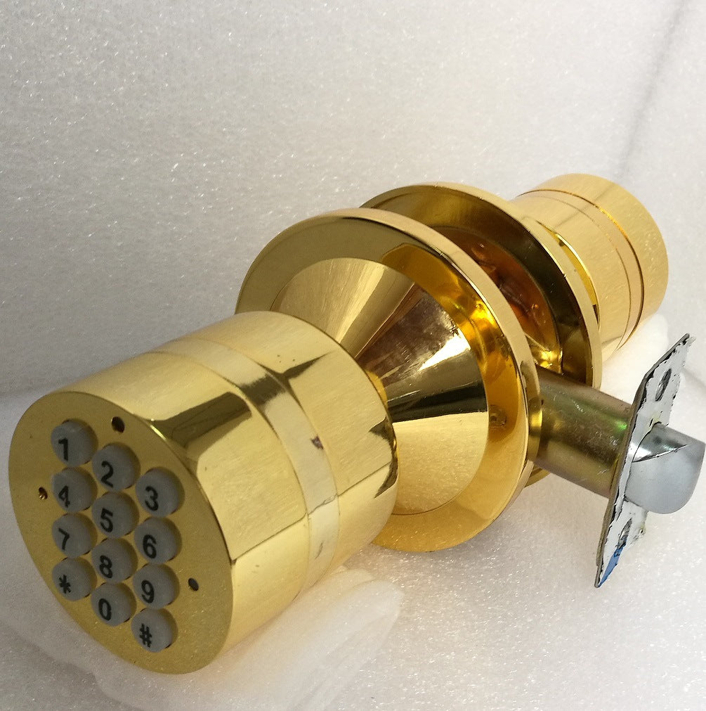 Smart Electronic Password Lock with Replaceable Parts