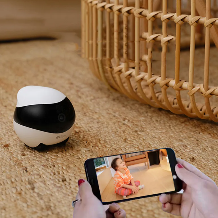Mobile Robot Monitoring Camera