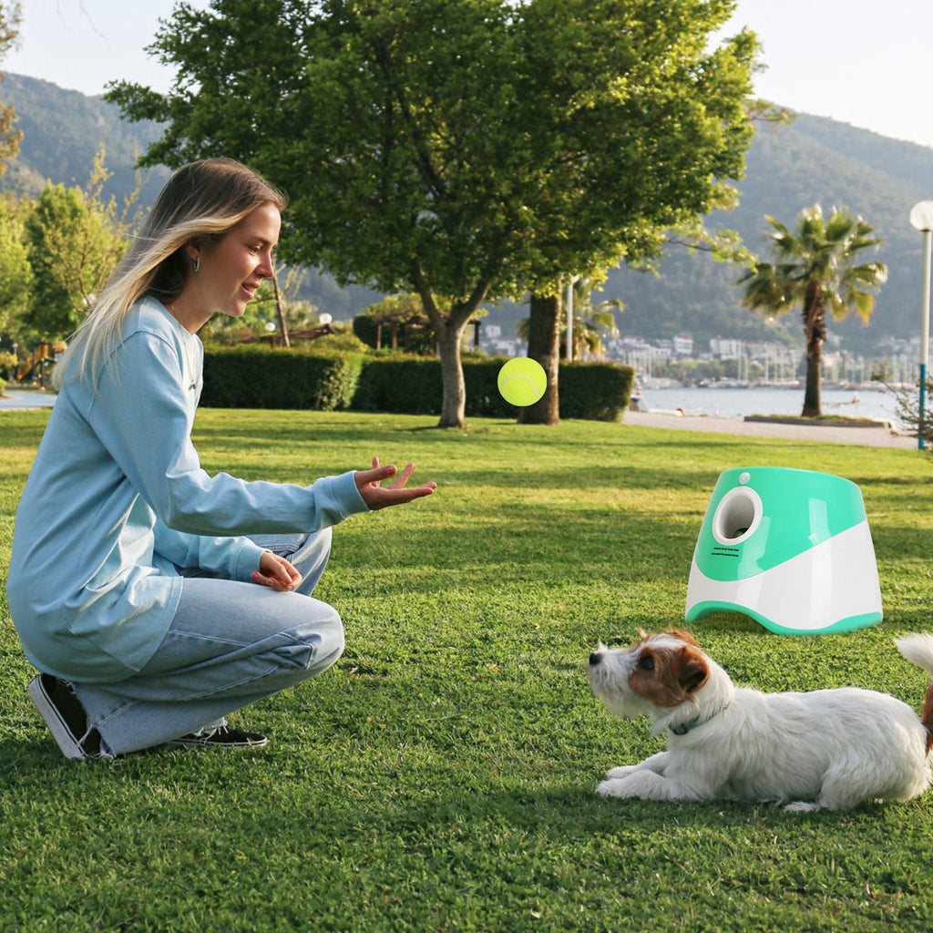 Automatic Dog Ball Launcher with 6 Balls
