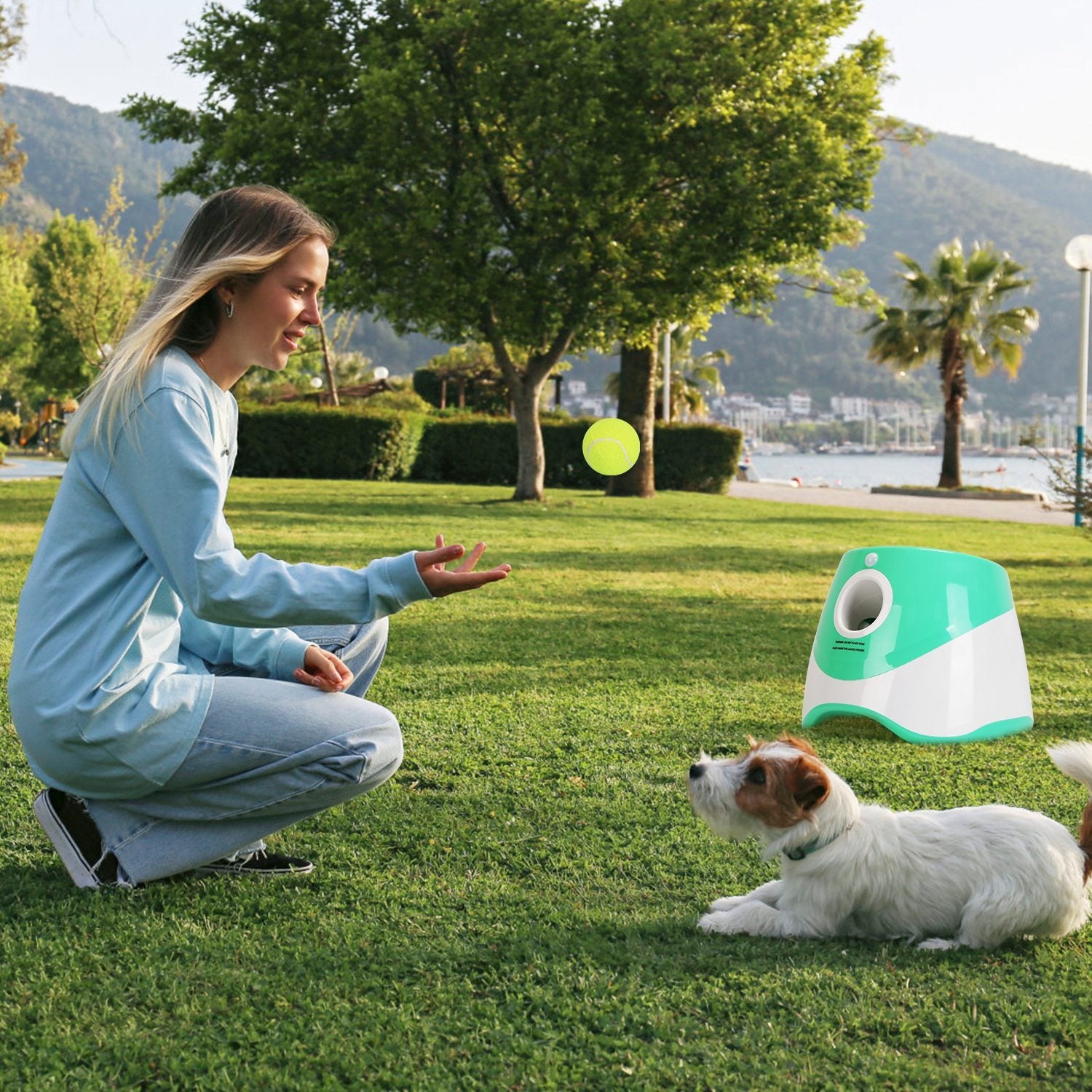 Automatic Dog Ball Launcher with 6 Balls