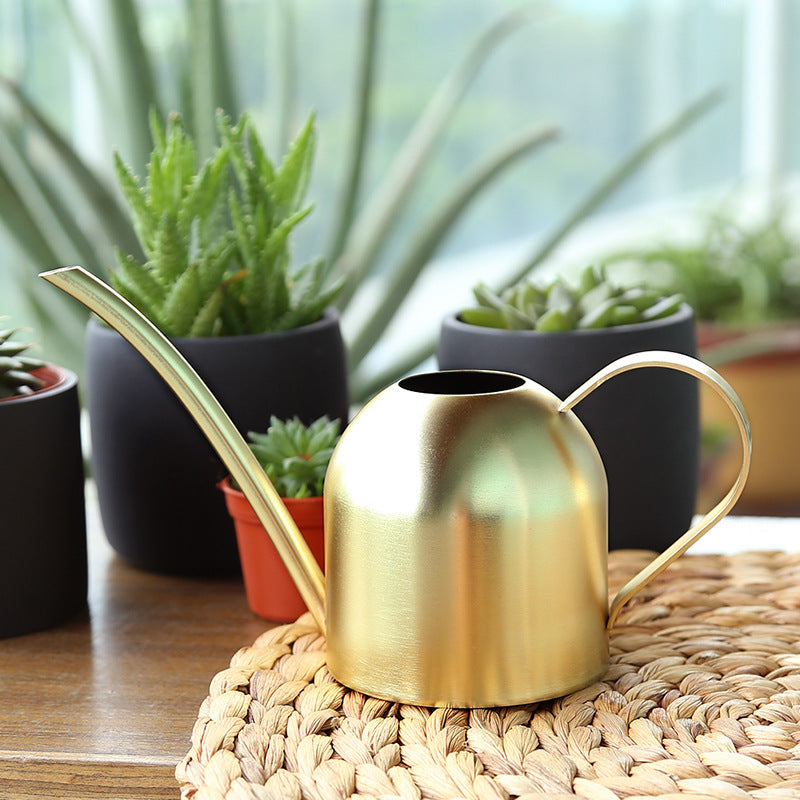 Stainless Steel Watering Can with Long Spout (Home Use)