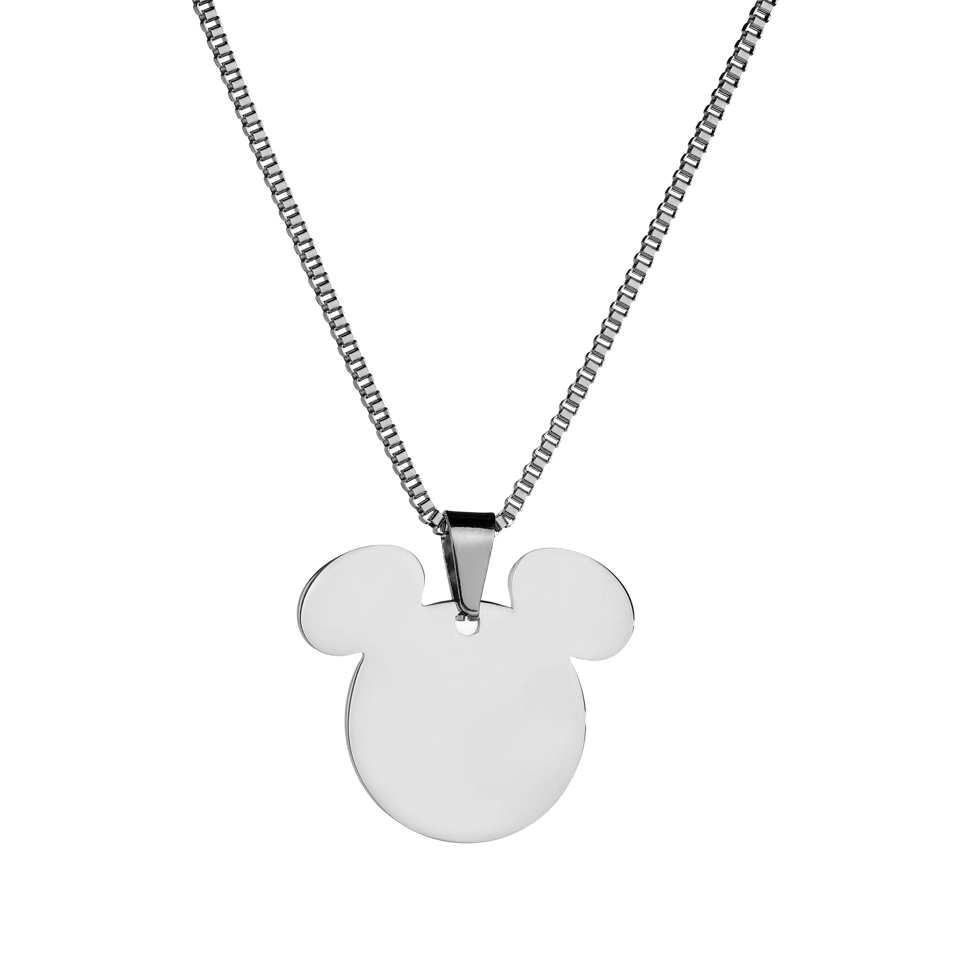 Custom Titanium Steel Pet ID Tag with DIY Engraving