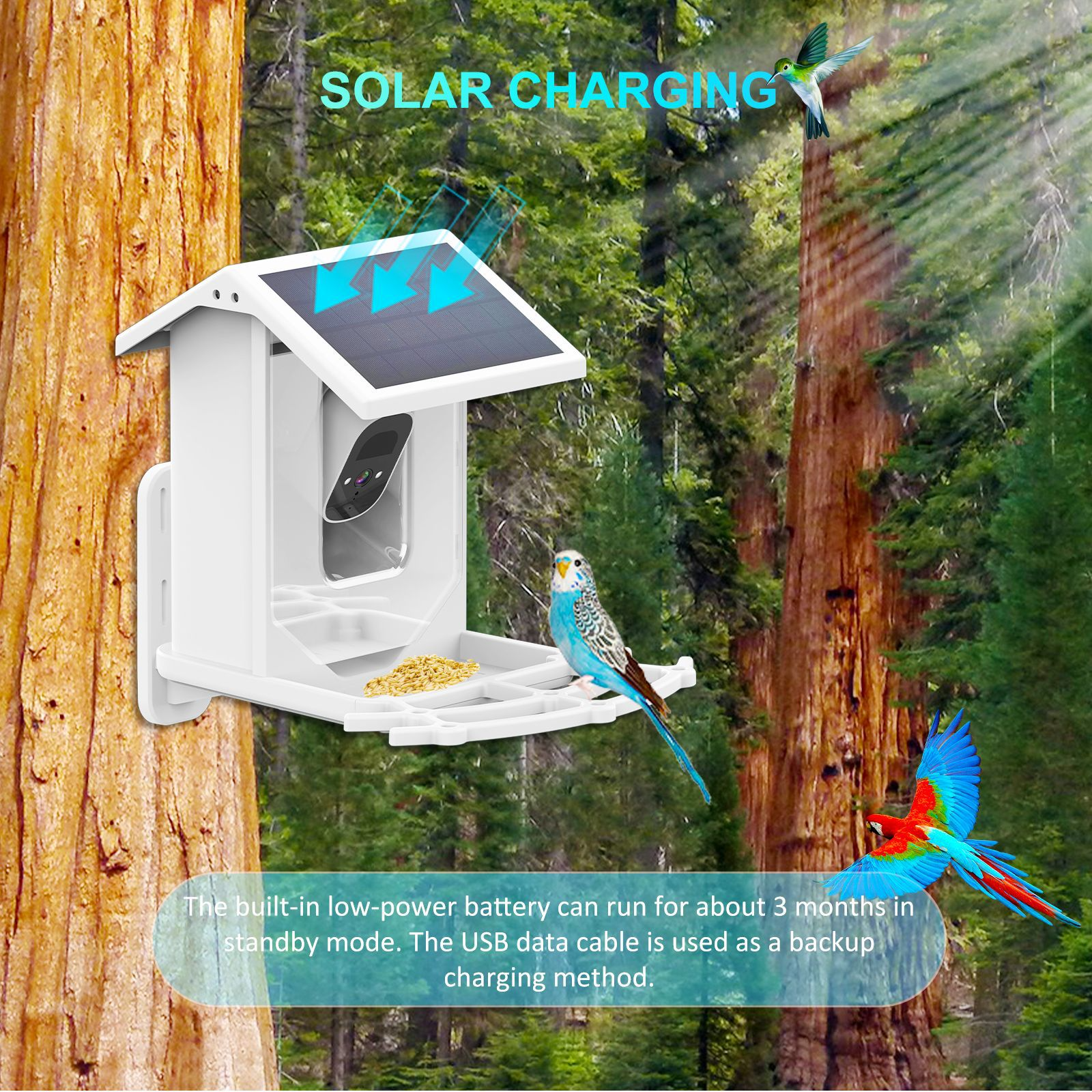 Solar Smart Feeder Camera