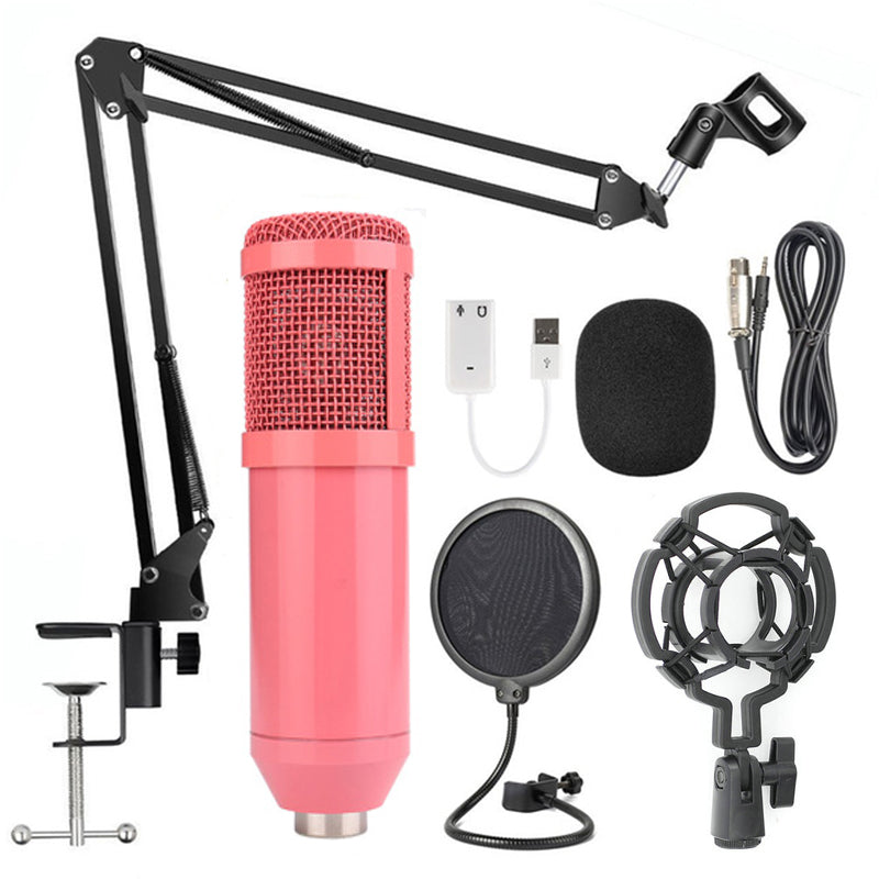 Microphone Stand Set with Windshield for KTV Use