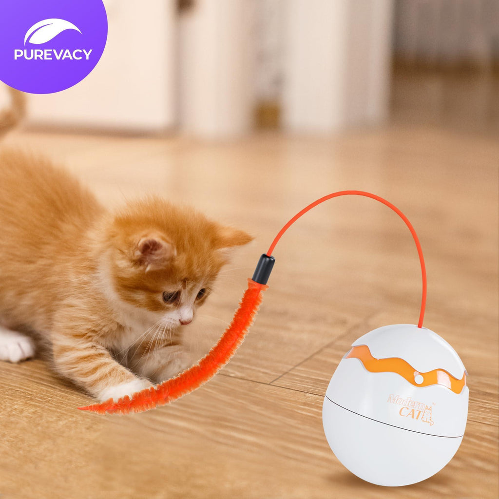 Interactive Cat Toy Dino Egg White Automatic Toy with 360 Degree Rotation