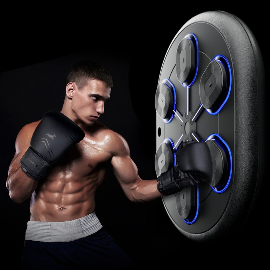 Music Boxing Rhythm Wall Target