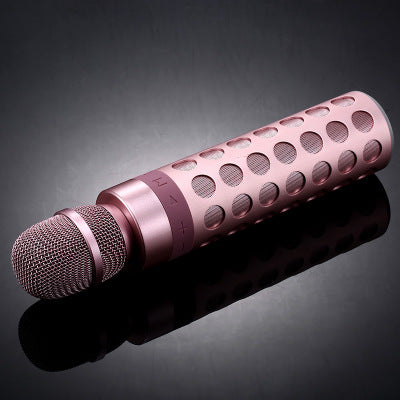 Bluetooth Speaker Microphone Karaoke Device Portable KTV