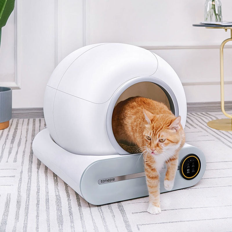 Automatic Enclosed Cat Litter Box