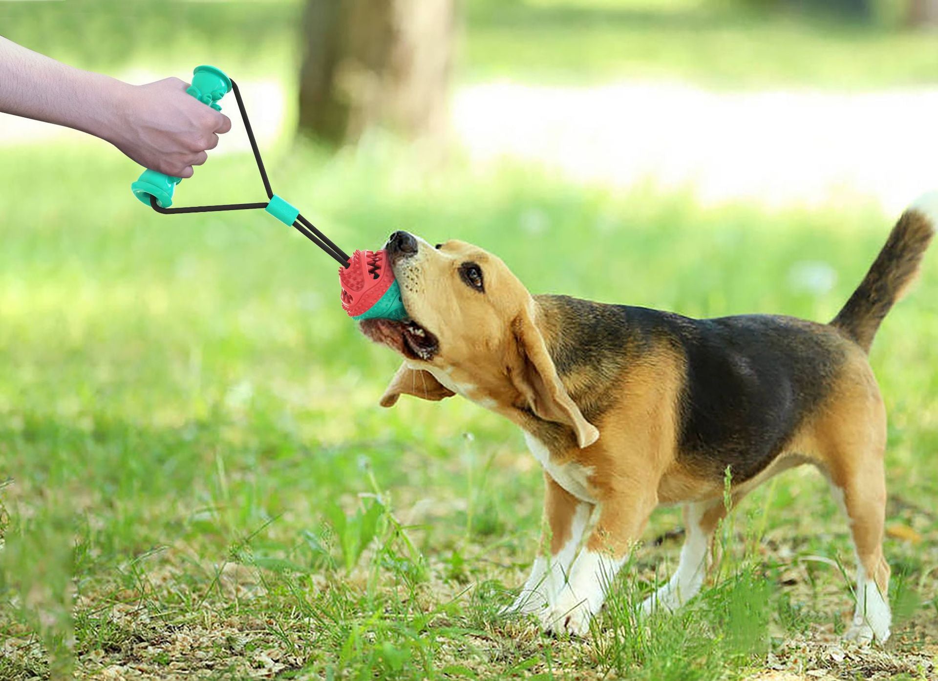 Dog Toy Tug Rope Toy Training Ball
