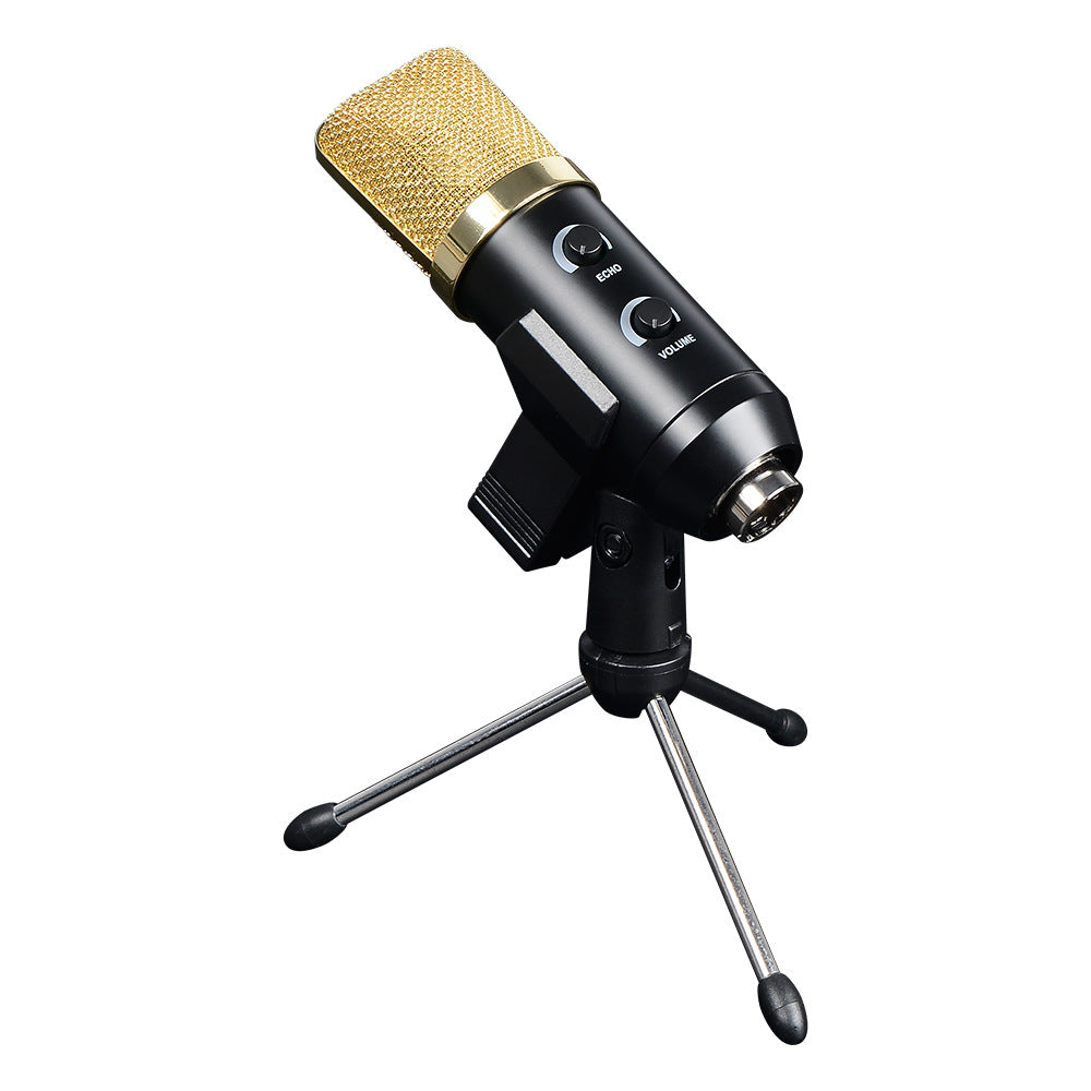 Condenser Microphone with Reverb and Stand