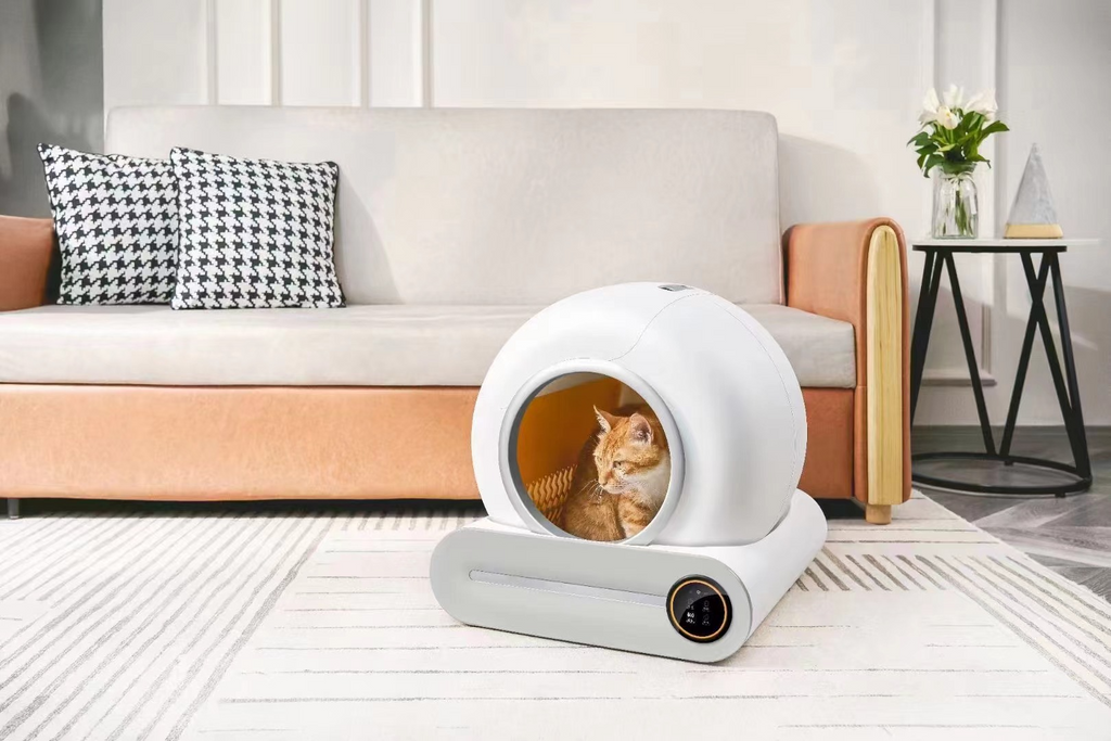Smart Automatic Self-Cleaning Litter Box