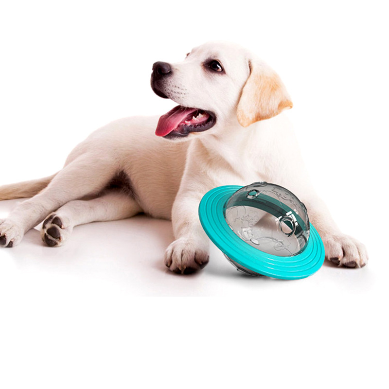 Dog Treat Dispensing Ball IQ Toy