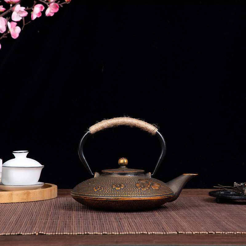 Japanese Craft Cast Iron Teapot with Infuser