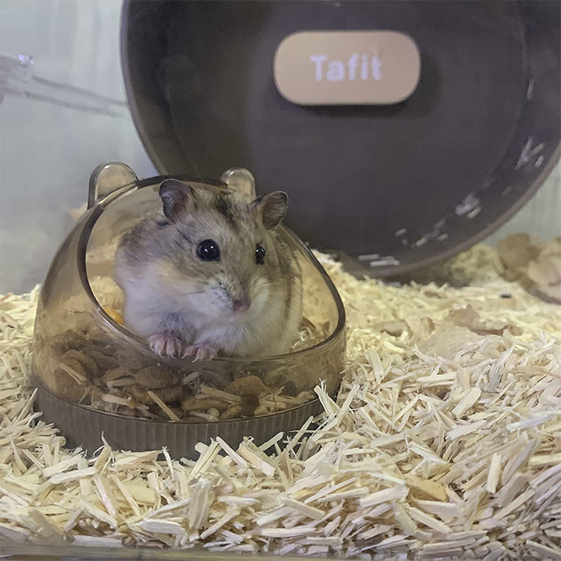 Candy Color Hamster Feeding Bowl for Small Pets