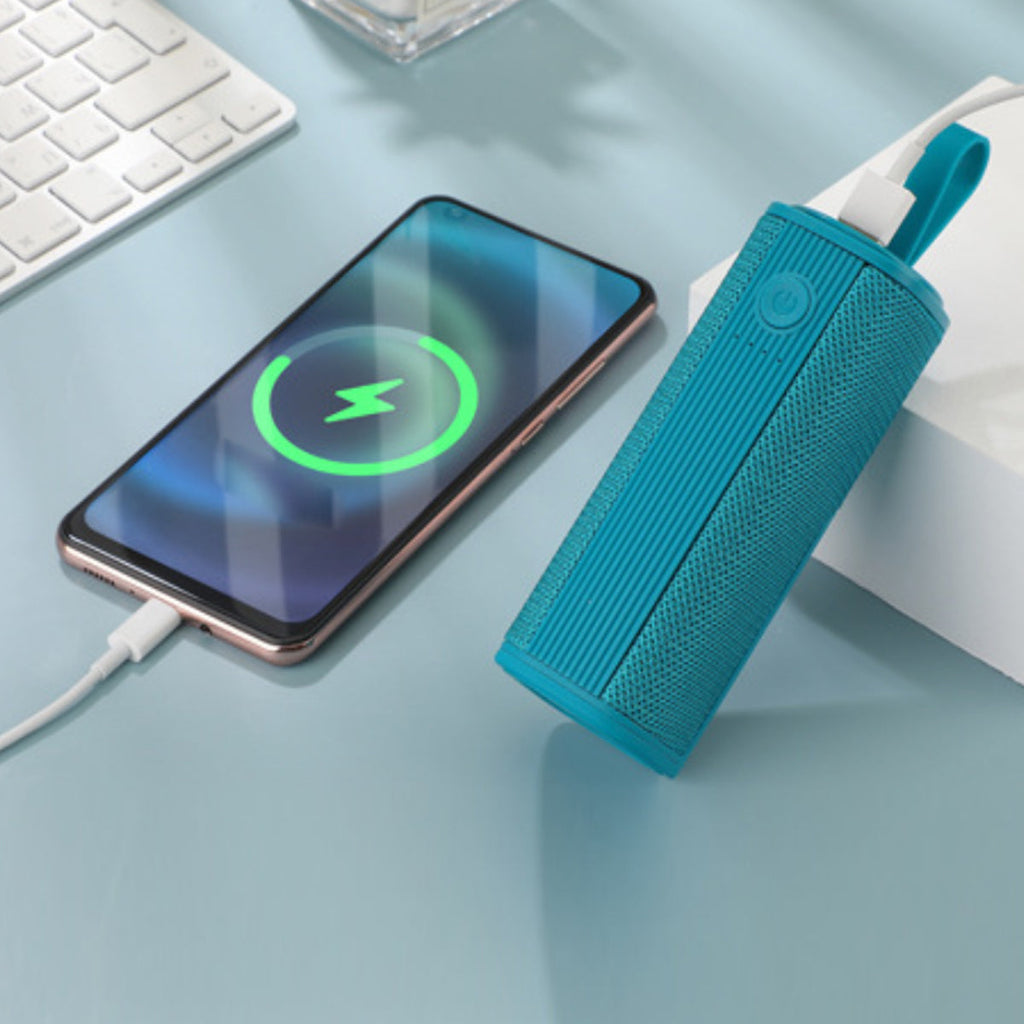 Triple Win 3-in-1 Earphone, Speaker and Power Bank