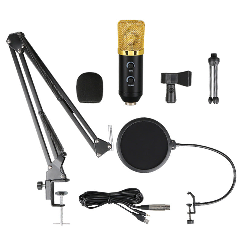 Condenser Microphone with Reverb and Stand