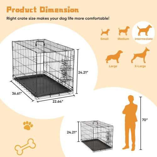 Folding Wire Dog Crate with Divider, Double Door