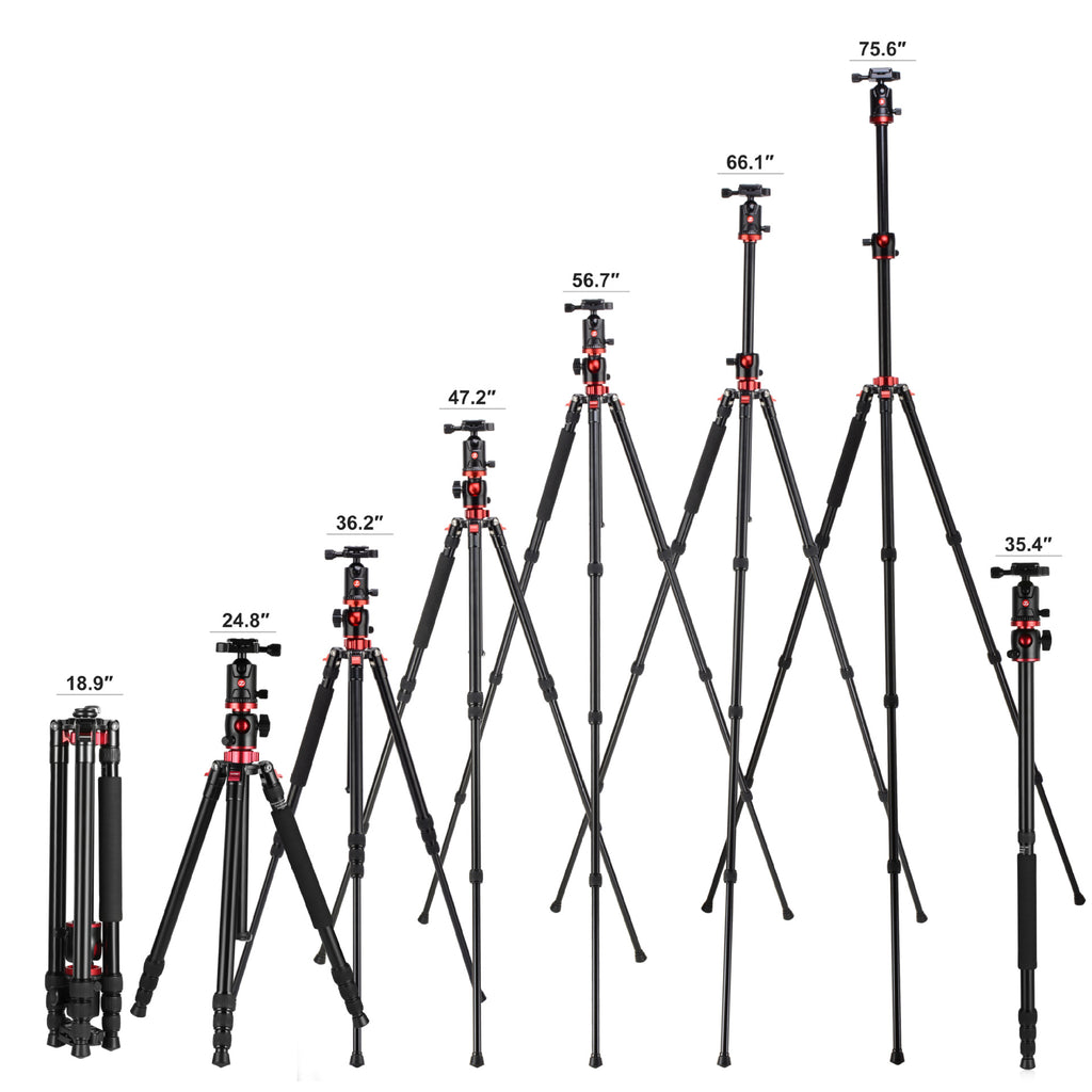 Carbon Fiber Tripod with Monopod