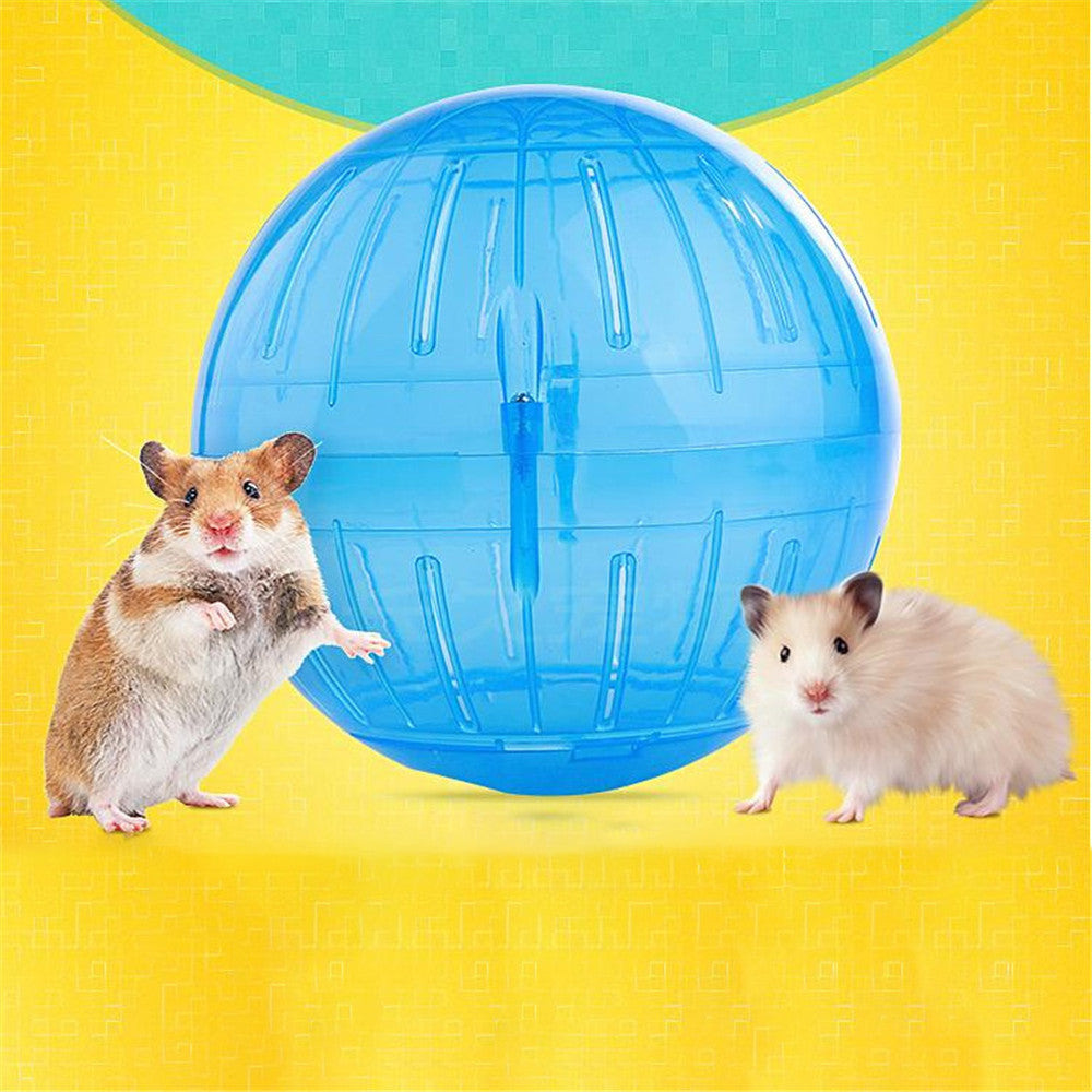 Hamster Ball Exercise Accessory with Transparent Wheel