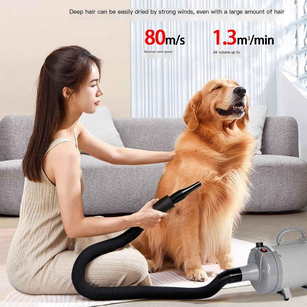 High-Power Pet Dryer for Large Dogs
