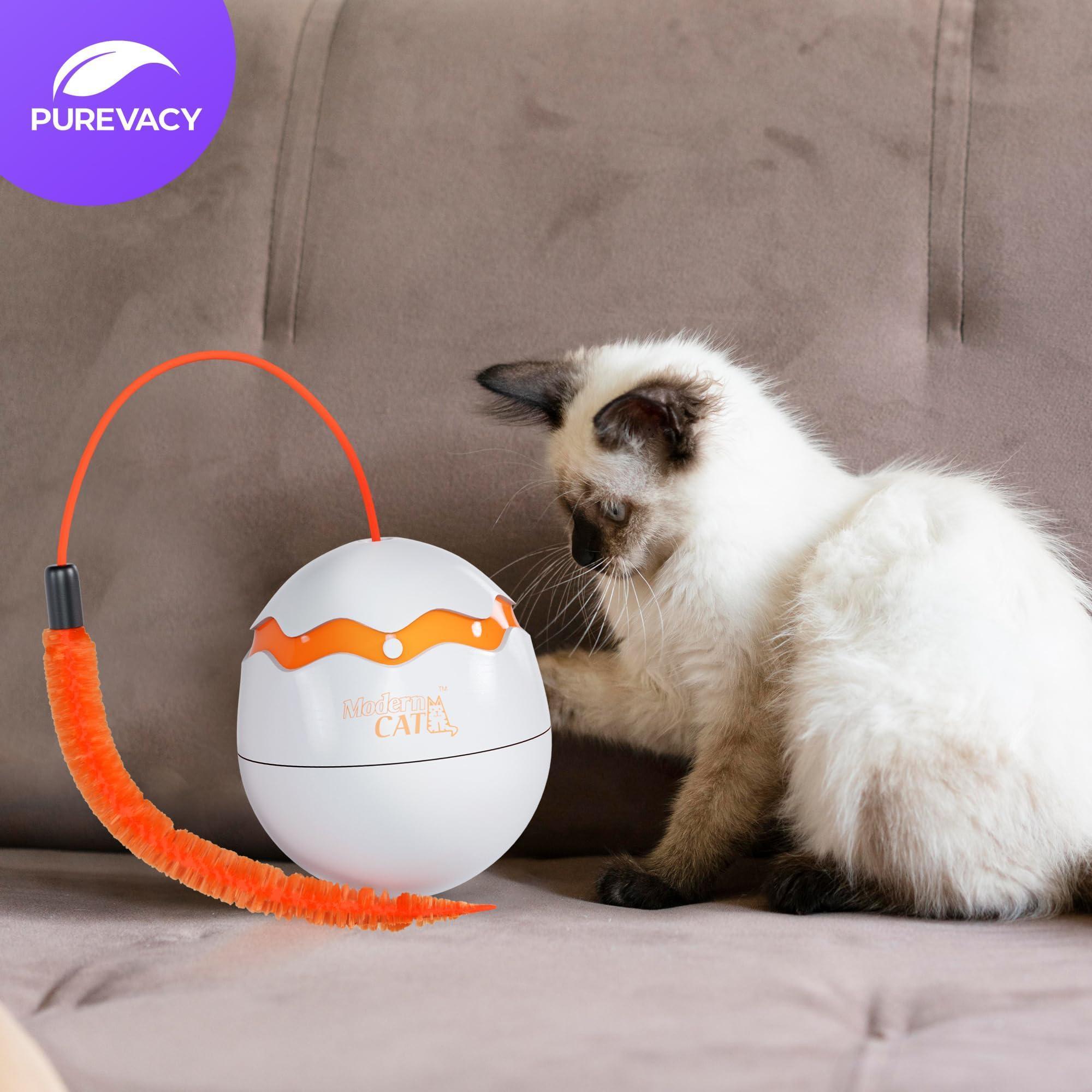 Interactive Cat Toy Dino Egg White Automatic Toy with 360 Degree Rotation