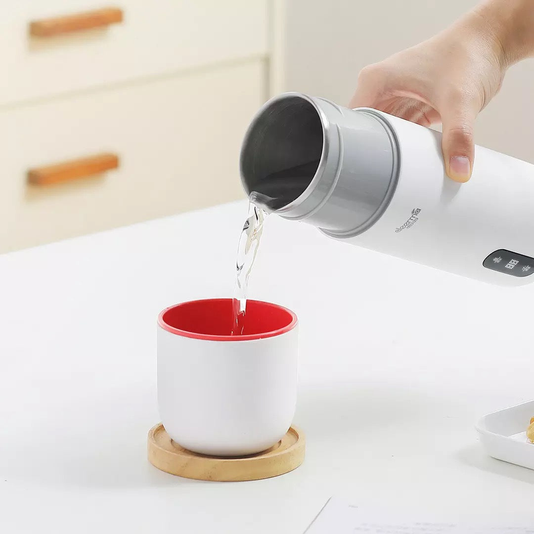 Portable Electric Kettle
