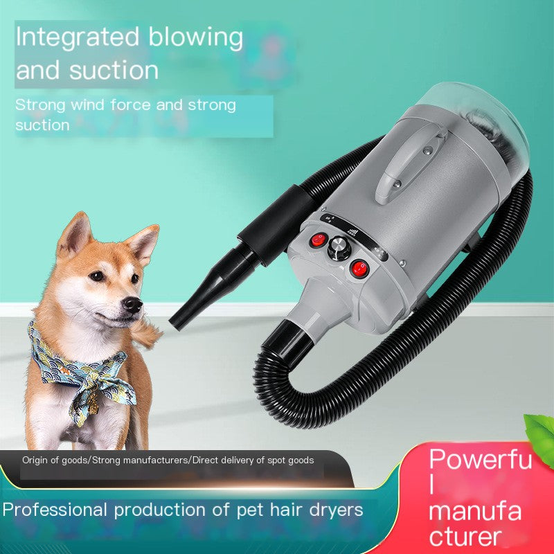 High-Power Pet Dryer for Large Dogs
