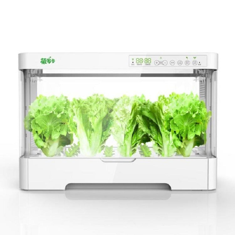 Automatic Soilless Hydroponic Planter Box