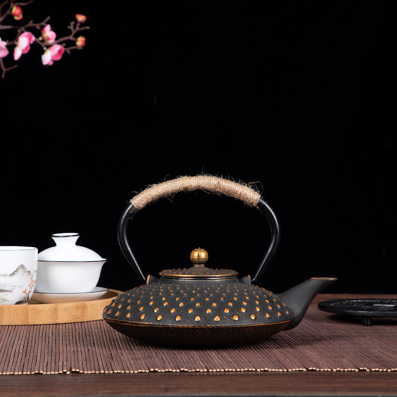 Japanese Craft Cast Iron Teapot with Infuser