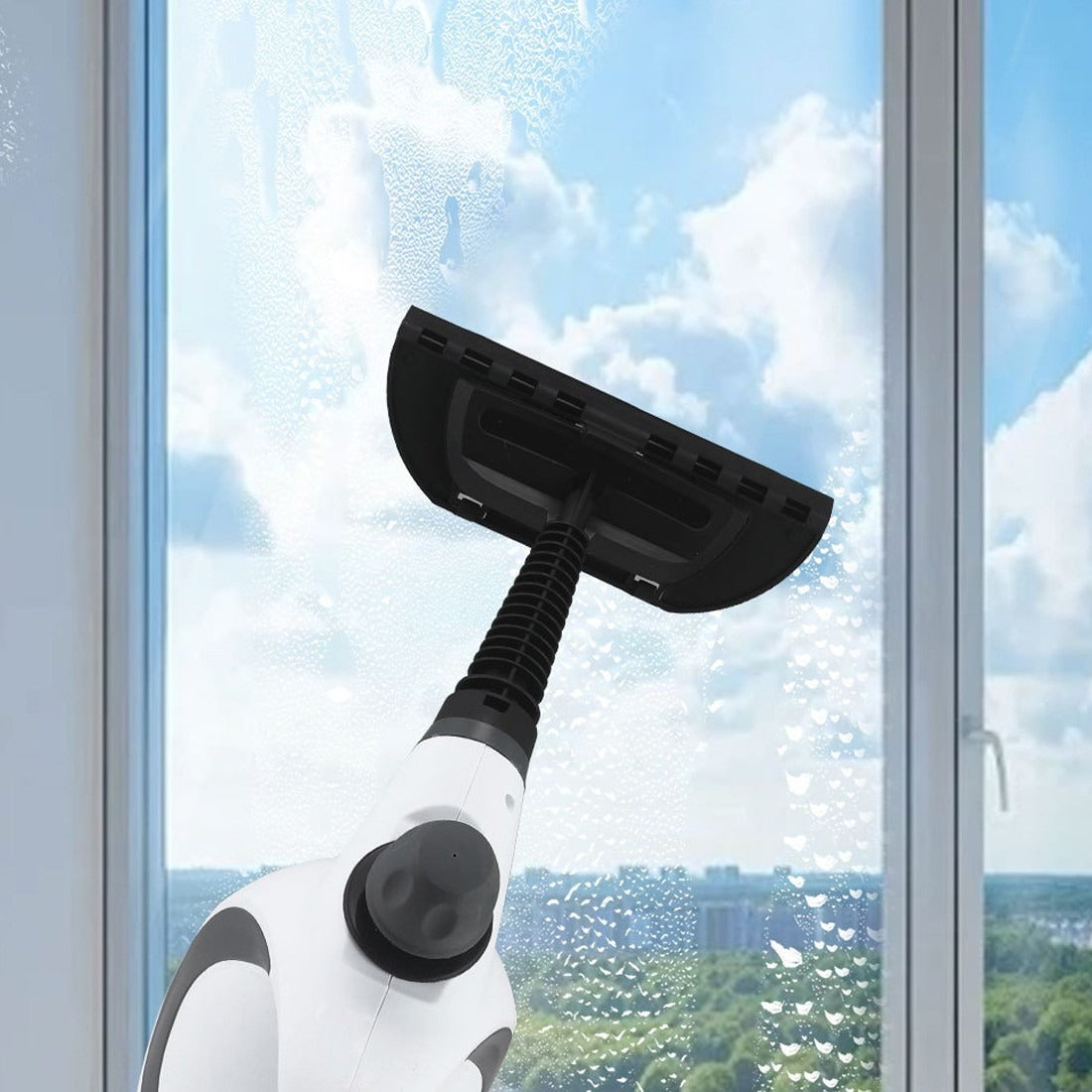 Handheld Steam Cleaner